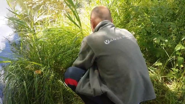 И снова карась на китайские морды смотреть онлайн