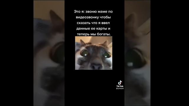 ставь номер своей банковской карты и цифры сзади +срок ее годности ЕСЛИ ЖИЗА 😁😁 смотреть онлайн