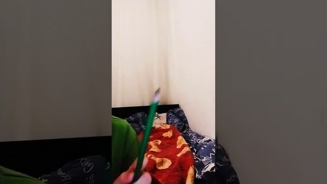 мой любимый цвет зелёный смотреть онлайн