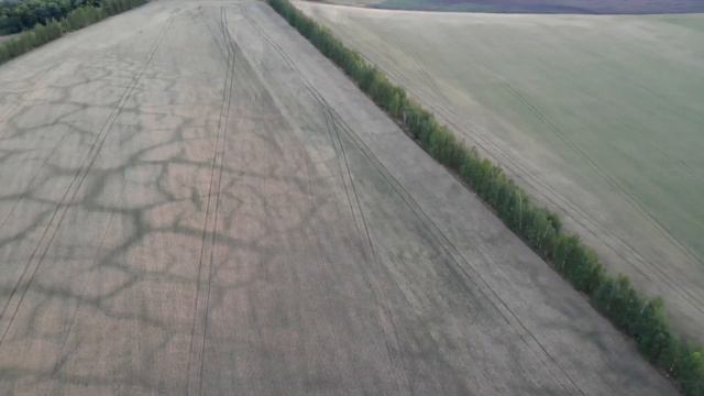 Засуха 2021. смотреть онлайн
