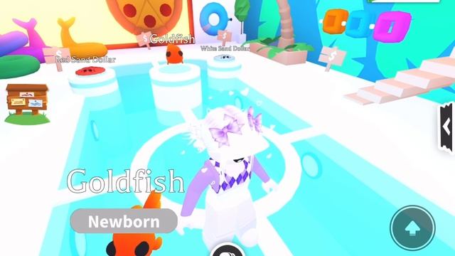 ЧТО ДАЮТ ЗА НОВОГО КРАСНОГО ПЕСОЧНОГО ДОЛЛАРА В АДОПТ МИ РОБЛОКС?! ТОП ТРЕЙДЫ!Adopt me Roblox Trade смотреть онлайн