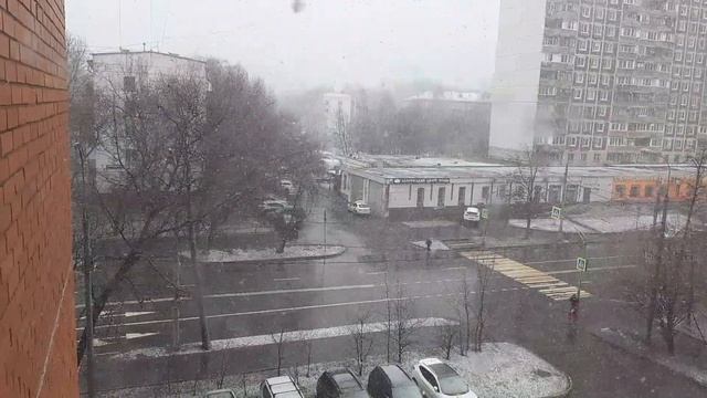 Погода в Москве 4 апреля 2021г. Снег. смотреть онлайн