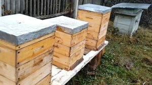 Пчеловодство. Осень на пасеке. Альпийский улей