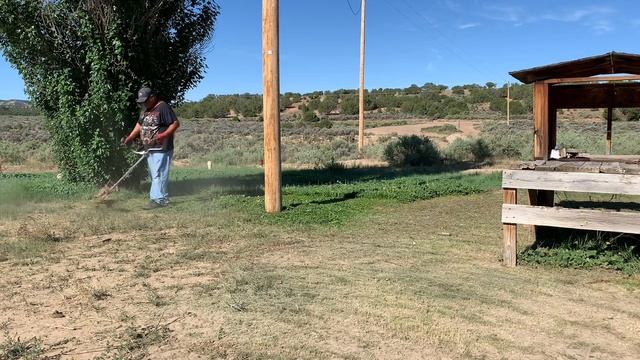 Weed wacking with the stihl fs-130 ( not supported by stihl and echo ) смотреть онлайн