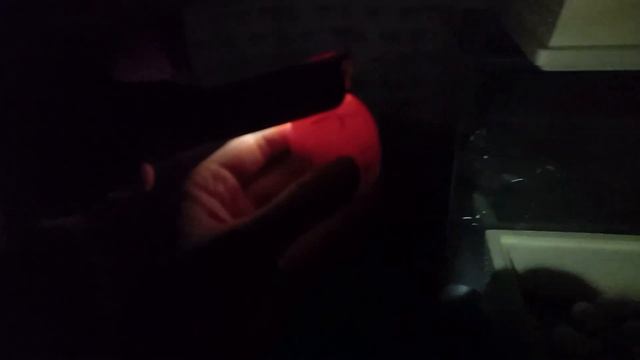 Инкубация куриных яиц на 19 день смотреть онлайн