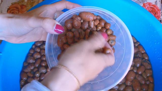 ЛУЧШИЙ ГРУНТ орхидеи! корни ДЫШАТ, листья ЧИЩЕ! орхидеи САЖАТЬ В ЭТО! смотреть онлайн