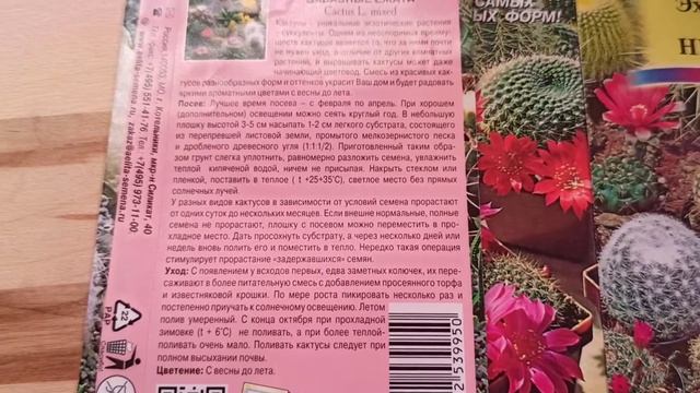 Как выросли кактусы из семян за 4 месяца смотреть онлайн