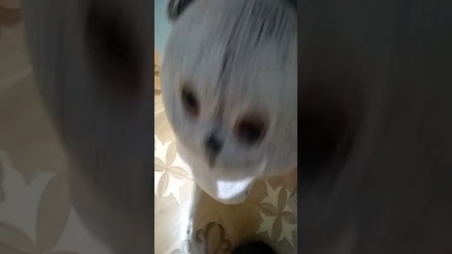 #басики смотреть онлайн