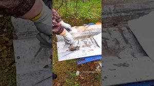 Как дешево заделать дырку в крыше?!