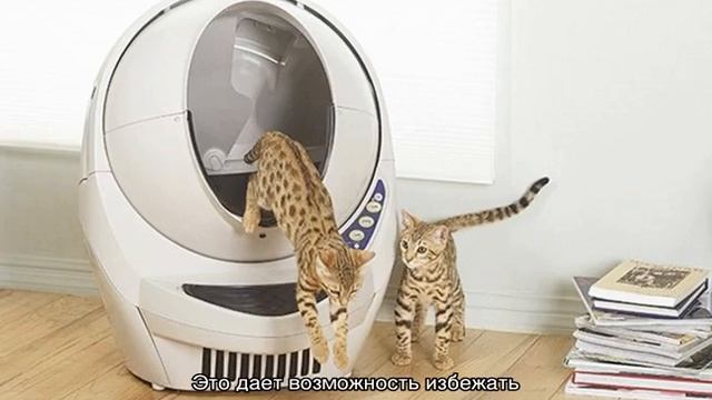 Автоматический туалет для кошек (самоочищающийся) смотреть онлайн