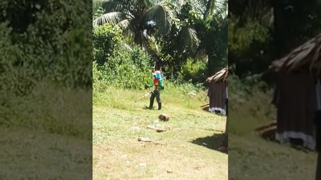 The Grass cutter Girl. part 1 смотреть онлайн