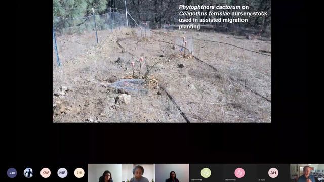 Presentation - Phytophthora Diseases in CA IPM Strategies (IPM TAC 06.02.2022) смотреть онлайн