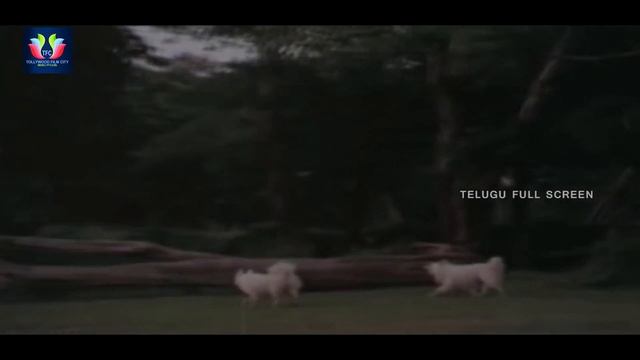 Vichitra Sodarulu Full Length Movie | Telugu Full Screen смотреть онлайн