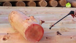 Как обрабатывать брёвна антисептиком. Как сохранить брус до монтажа. Обработка кругляка пропиткой