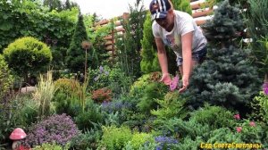 Каменистая горка. Растения акценты. Как уложить камни? ВАЖНО  для стабильности горки.#альпийская#са