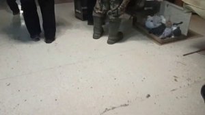 Ярмарка Голубей Город Кузнецк Пензенская область .