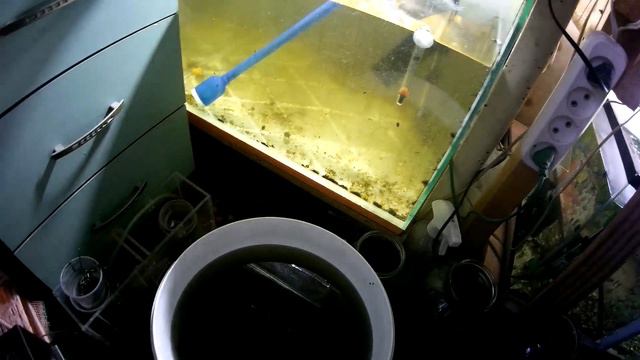 Подмена в малявочнике 120 литров (Аква Хижина, выпуск 152) смотреть онлайн