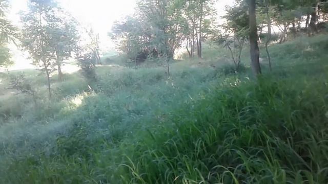 В это тихое утро. Елена Махинина смотреть онлайн
