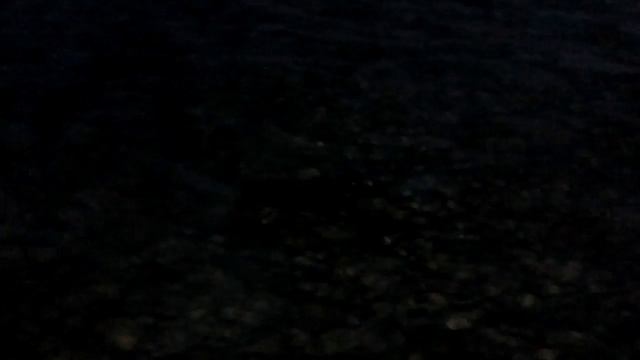 Тропитель Сахл Хашиш смотреть онлайн