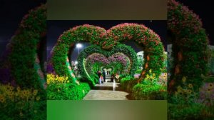 Гр. Эдельвейс Радость Сердца.Красивая Аварская (Цунта-Бежта)