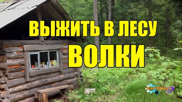 0912 - ВОЛКИ НАПАЛИ _ ВЫЖИТЬ В ЛЕСУ _ ВСТРЕЧА ЖИЗНЬ В ТАЙГЕ.mp4 смотреть онлайн