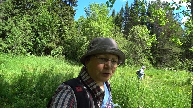 У нас пошли грибы! 19 июня 2022 смотреть онлайн