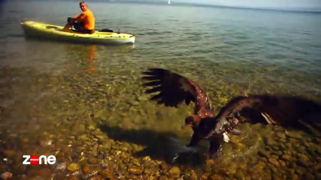 Zone Interdite - Naissances Au Zoo : Au Secours Des Especes En Danger 2-2 Zntd