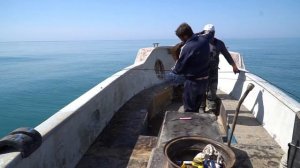 ПРОМЫСЕЛ КАМБАЛЫ КАЛКАН в Черном море, г. Сочи. Репортаж Первого канала.