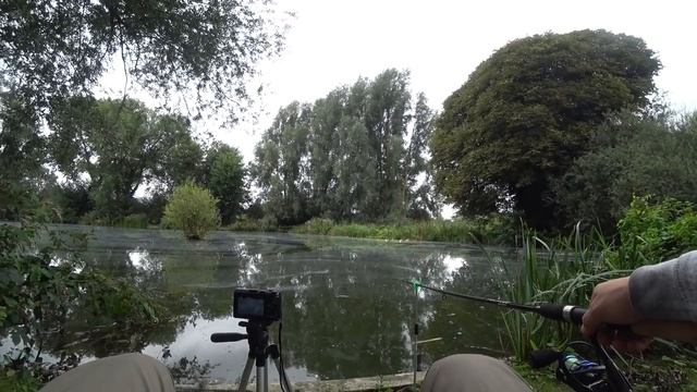 Рыбалка на поплавок. Кукуруза против гороха. смотреть онлайн