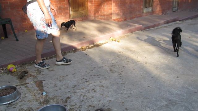 MVI_0955 смотреть онлайн