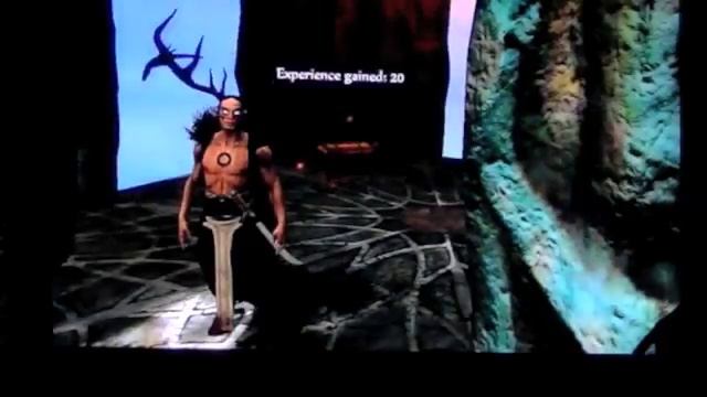 (Game Impressions)Faery:Legends Of Avalon (demo Version)