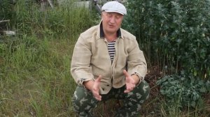 САМАЯ ПОЛЕЗНАЯ ТРАВА ДЛЯ КУР !  ЧТО ДАВАТЬ КУРАМ !