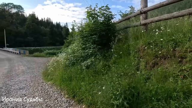 Тихо войдя в дом, Алиса подслушала разговор свекрови и едва не закричала, услышав...