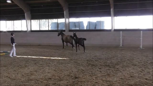 LaPalette och La Touchette e Touchdown fölvisning 2019 смотреть онлайн