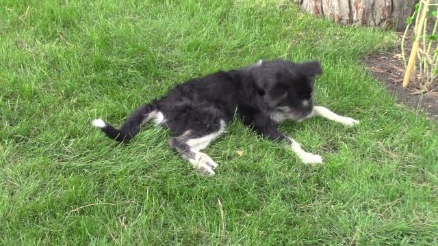 Геленджик / НАБЕРЕЖНАЯ смотреть онлайн