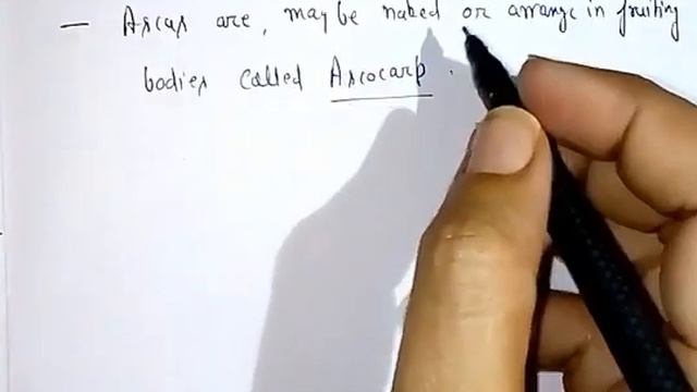 Ascomycetes Fungi L41 смотреть онлайн