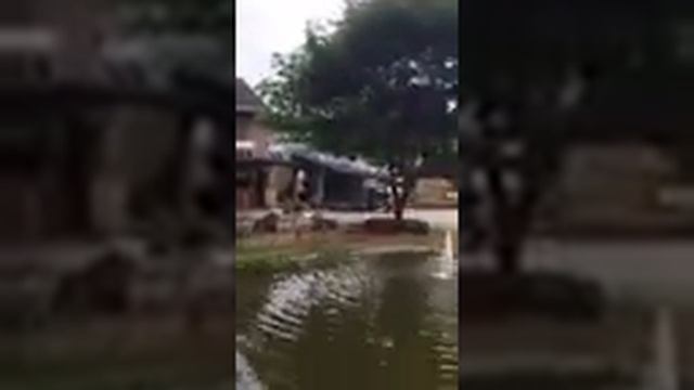 Экскурсия в Таиланде "Земля королей и парк Альпака" смотреть онлайн