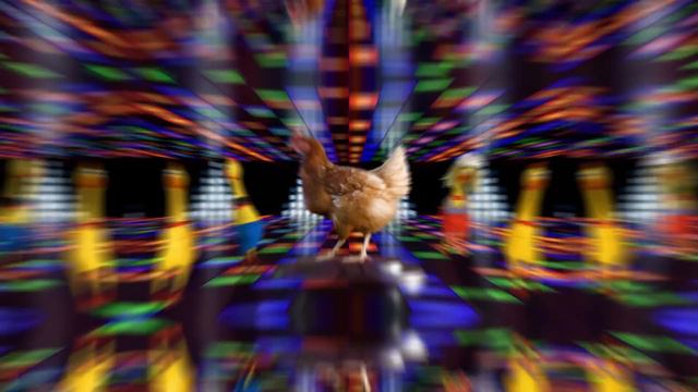 J Geco - The Chicken Song (10 Years Anniversary)