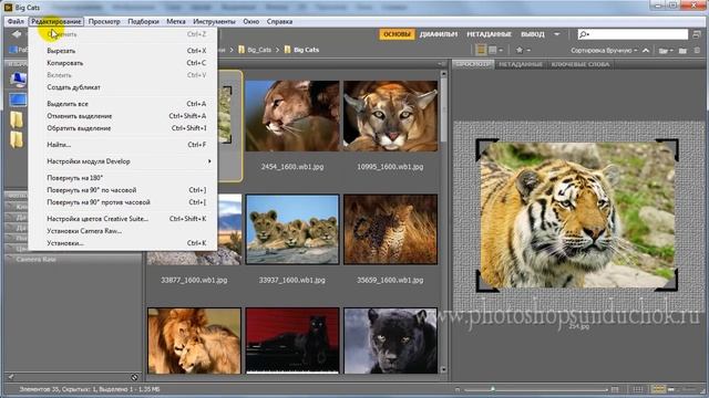 Интерфейс программы Adobe Bridge смотреть онлайн