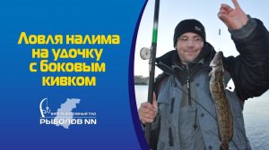 Ловля налима на удочку с боковым кивком