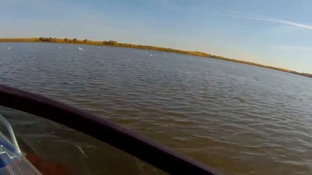 Не только джиговая ловля... Мастер-класс с Олегом Татьяниным в Самаре. смотреть онлайн