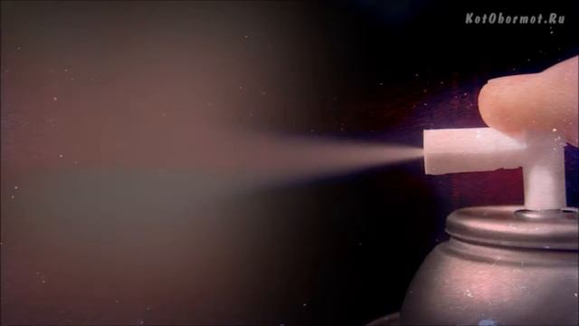 Как отучить котенка кусаться и царапаться - 10 советов людям смотреть онлайн