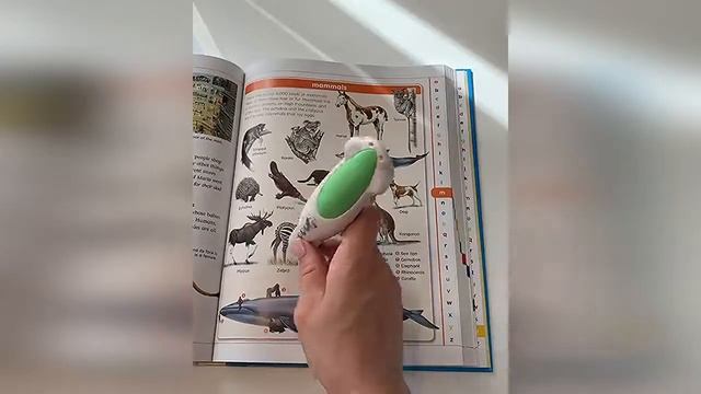 Англо-английский иллюстрированный словарь для ручки с озвучкой смотреть онлайн