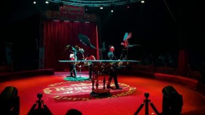 Цирк Кудзинов 2024