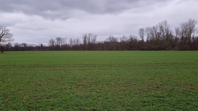 Прогулка Нойс(Фурт) - Дюссельдорф( Оберкассель) смотреть онлайн