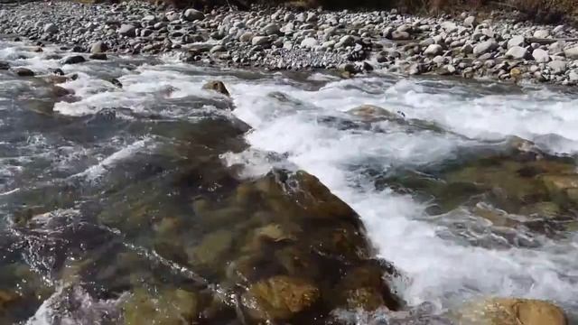 Река Мульта, 11.9.2016 смотреть онлайн