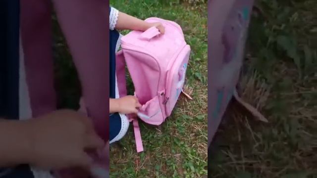 Ранец школьный / портфель / рюкзак для девочки / начальная, средняя школа / серия : единорог смотреть онлайн