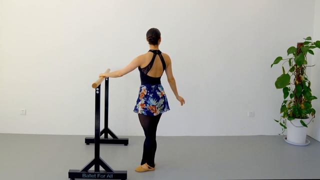 Ballet Barre Stretching Routine | FOLLOW ALONG Stretching Exercises смотреть онлайн
