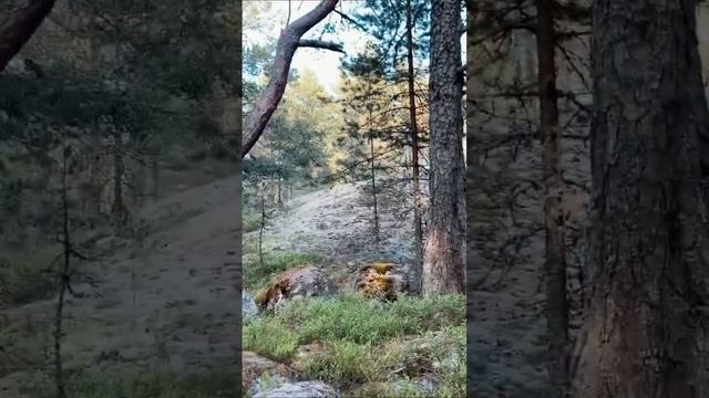 Мы сгорели на севере смотреть онлайн