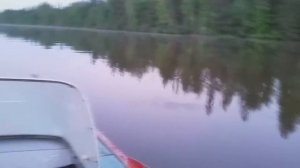 Прогресс 2 и мотор Сузуки 9 9